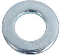 Шайба boltnn.ru DIN125 (ГОСТ11371) D6 цинк HV100 250 шт. 4687206446403