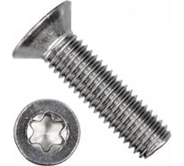 Винт ОПМ ISO 14581 ТХ10 М3x8 А2 500 шт УТ000024047