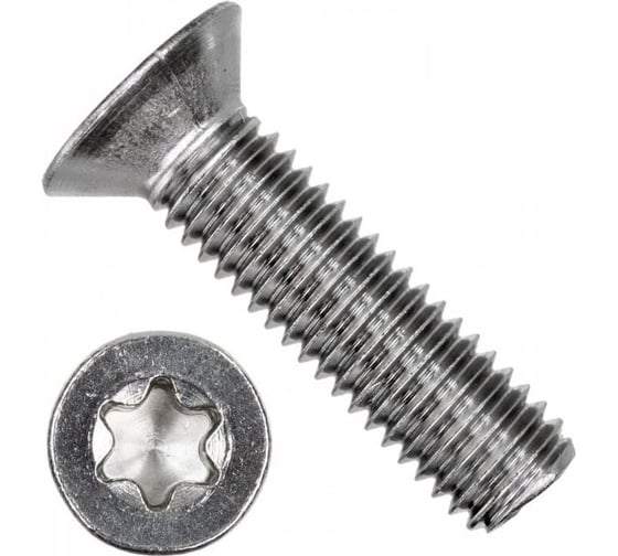 Винт ОПМ ISO 14581 ТХ10 М3x8 А2 500 шт УТ000024047 1