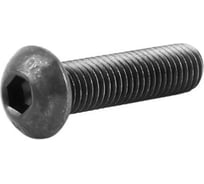 Винт ОПМ ISO 7380-1 М5x16 010.9 500 шт П0000033852