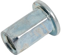 Заклепка гаечная KLAUE шестигранная, сталь, М6, стандартный борт St KSM6LF-HEX 500 шт. УТ000001373