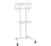Стойка для телевизора Cactus CS-ST04 белый 37-70 макс.68кг напольный мобильный 1911798