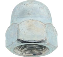 Гайка колпачковая крепежная техника DIN 1587 М16 (20) БК, цинк 494054 БК