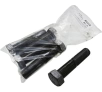 Болт Крепежная техника с шестигранной головкой черный ГОСТ 7798-70(5.8) 22x100 (5 шт) 600090 БК