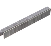 Скобы для мебельного степлера TOLSEN тип 53F, 12 мм, 11.3x1.2 мм, 1000 шт 43030