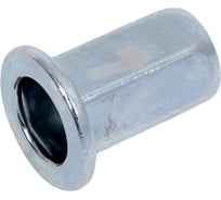 Заклёпка резьбовая boltnn.ru шестигранная М6 цилиндрический борт оцинкованная 0.5мм-3.0мм 250 шт 4687206461642