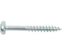 Универсальный шуруп ЕВРОПАРТНЕР MULTI полукруглая головка, неполная резьба, ZN, 6x50 + бита TX, 50 шт. B2 0088 18631171