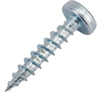 Универсальный шуруп ЕВРОПАРТНЕР MULTI полукруглая головка, ZN, 4x20 + бита TX, 250 шт. B2 0072