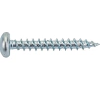 Универсальный шуруп ЕВРОПАРТНЕР MULTI полукруглая головка, ZN, 5x35 + бита TX, 90 шт. B2 0083