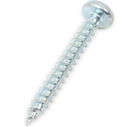 Универсальный шуруп ЕВРОПАРТНЕР MULTI полукруглая головка, ZN, 5x40 + бита TX, 80 шт. B2 0084