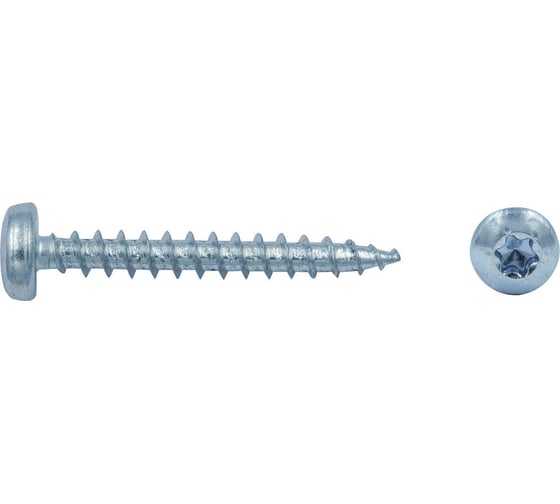 Дюбель ЕВРОПАРТНЕР MULTI plug 6x25 + шуруп MULTI универсальный, полукругл. головка, ZN, 4x40 + бита TX RB2 0135