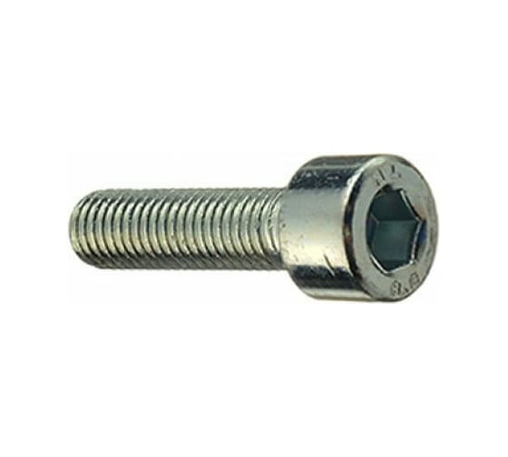 Винты МТК DIN 912 8.8 Zn 1 кг, 5.0x20 115878 1