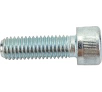 Винты МТК DIN 912 8.8 Zn 1 кг, 8.0x25 115913