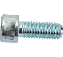 Винты МТК DIN 912 8.8 Zn 1 кг, 10.0x25 115933