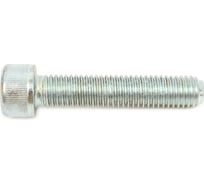 Винты МТК DIN 912 8.8 Zn 1 кг, 10.0x50 115938