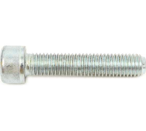 Винты МТК DIN 912 8.8 Zn 1 кг, 10.0x50 115938 1