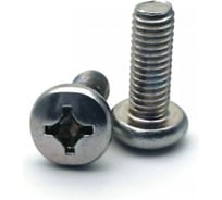 Винты ООО "Тэмпо-Метиз" DIN7985, оцинкованные, 4x16, 1500 шт. 520916