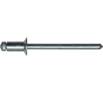 Комбинированная заклепка ООО ПКФ Сварком ПТГ 4,0x6 Ал/Ст Bralo (потайная) 50шт k00014801