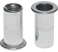 Заклепка резьбовая ООО ПКФ Сварком М 6 НЕРЖ цб А2 L=16 10 шт k00015128