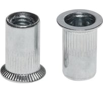 Заклепка резьбовая ООО ПКФ Сварком М 5 ст. потай. бортик 100 шт k00003269