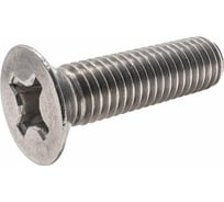Винт ООО ПКФ Сварком DIN 965 6x10 нерж. А2 50шт k00019015