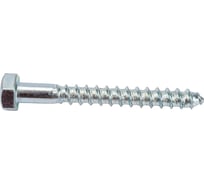 Шуруп с 6-гранной головкой ООО ПКФ Сварком 10x60, цинк, DIN 571, 20 шт. 00002669