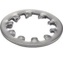 Шайба зубчатая ООО ПКФ Сварком 10 DIN6797 50 шт k00018993