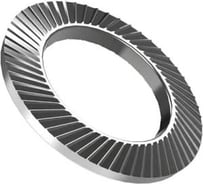 Шайба Море-Метизов стопорная Schnorr М10 тип S (88120) цинк, 25 шт. SHAYSTCМ1025M