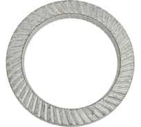 Шайба Море-Метизов стопорная Schnorr М12 тип VS (88121) цинк, 10 шт. SHAYSTCVSМ1210M