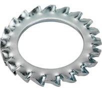 Шайба Море-Метизов зубчатая DIN 6798 A M20 цинк, 100 шт. SHAY6798АСM20100M