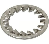 Шайба Море-Метизов зубчатая DIN 6798 J M5 цинк, 100 шт. SHAY6798JСM5100M