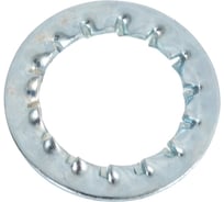 Шайба Море-Метизов зубчатая DIN 6798 J M16 цинк, 100 шт. SHAY6798JСM16100M