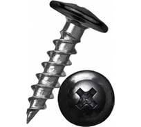 Саморез ООО ПКФ Сварком п/ш 4,2x25 RAL9005 черный 200 шт k00012163