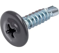 Саморез ООО ПКФ Сварком п/ш 4,2x13 сверло RAL7024 200 шт k00018135