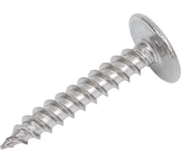 Саморез ООО ПКФ Сварком п/ш 4,2x25 нерж. А2 остр крест 30 шт k00014288