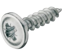 Шуруп Hafele для задней панели, оцинкованный 3,0x20мм 016.10.555