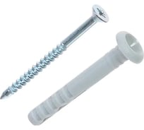 Дюбель с шурупом ООО ПКФ Сварком 6x80 гриб 100 шт k00004714