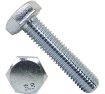 Болт BlackWeld DIN 933, 6x14 цинк, 5 кг 144325