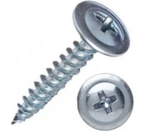 Саморез с прессшайбой ООО "Клинский метизный завод" острый, 4,2x13, белый цинк, коробка 15 кг СПШ0Ц004213-15