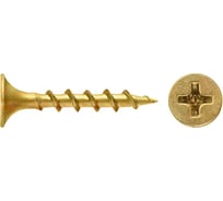 Саморез SWFS СВФС ШСГД ZY 3,8x51 (950шт) тов-213131