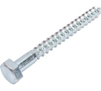 Шуруп сантехнический SWFS СВФС 10x160, 280 шт. тов-033045