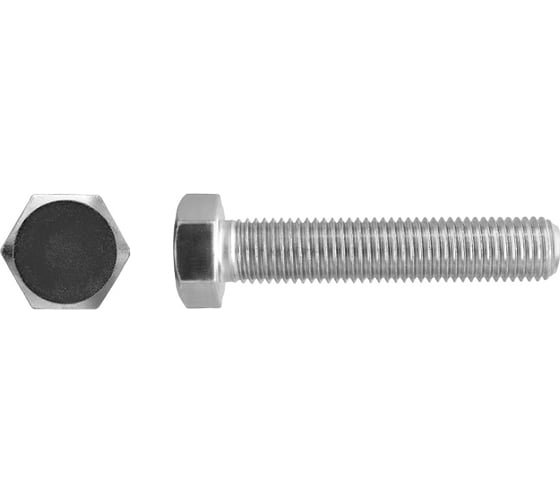 Болт SWFS DIN933 М16x110 10 шт. тов-202039 1