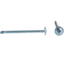 Саморез BlackWeld 4,2x51 15кг оцинкованный с прессшайбой сверло 144643