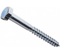 Шуруп для крепления деревянных лаг BlackWeld10x80 (500) 144759