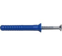 Дюбель-гвоздь R2R 8x60, потай, 100 шт. ДГВ-П-8х60-100