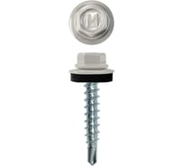 Кровельный саморез Rizzel 4,8x29 RAL 7004 сверло №1, 250 шт 00000314096