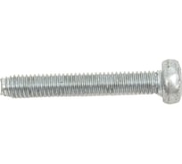 Винт резьбовыдавливающий Море-Метизов DIN 7500С цинк, Torx М3x6 мм, 1000 шт. VINT7500CTORXМ361000М