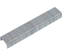 Скобы STARTUL 6мм тип 140 1000шт MASTER ST4554-06