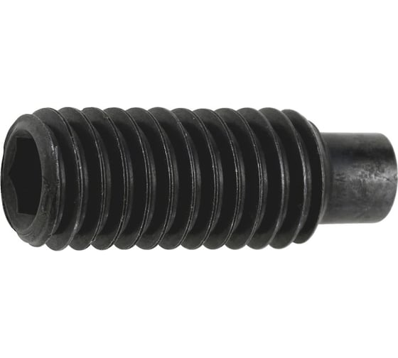 Винт установочный ООО ПКФ Сварком внутренний шестигранник, М10x30, DIN 915, 5 шт. k00003683 1