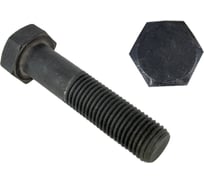 Болт Reyher DIN 931, М24х180, высокопрочный, 12.9, ОКС 10 шт. 66261